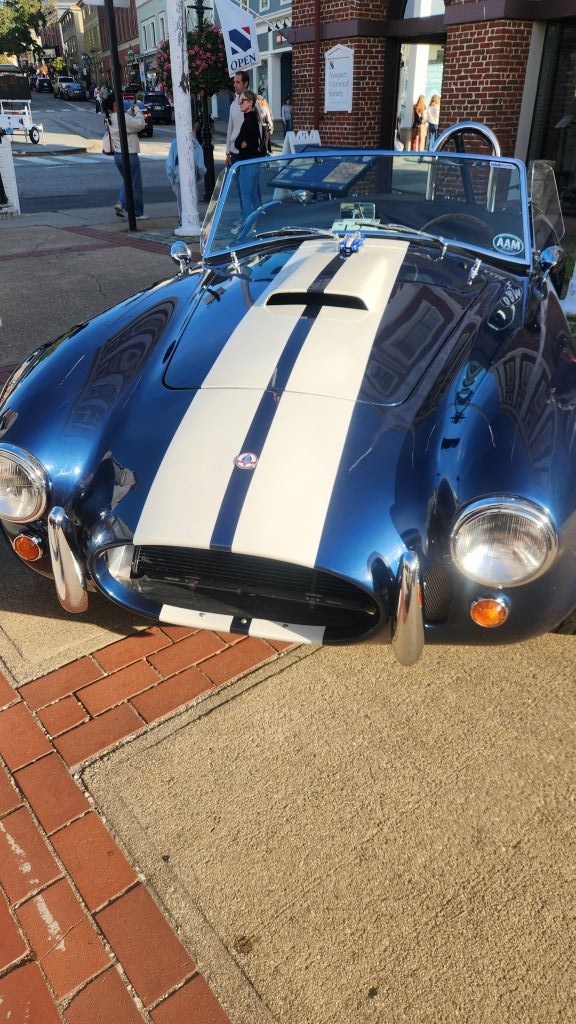 Bss bugs